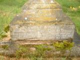 image of grave number 236173